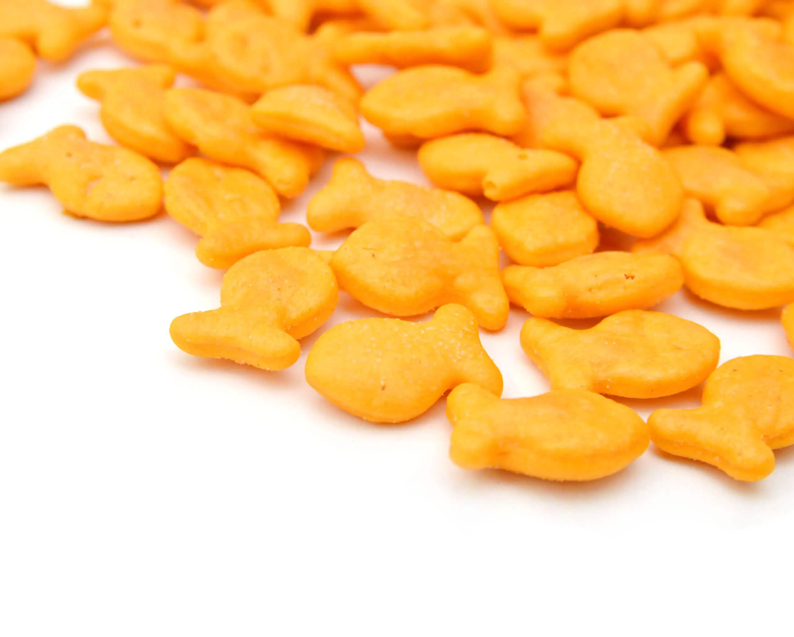 Goldfish image