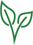 Vegan