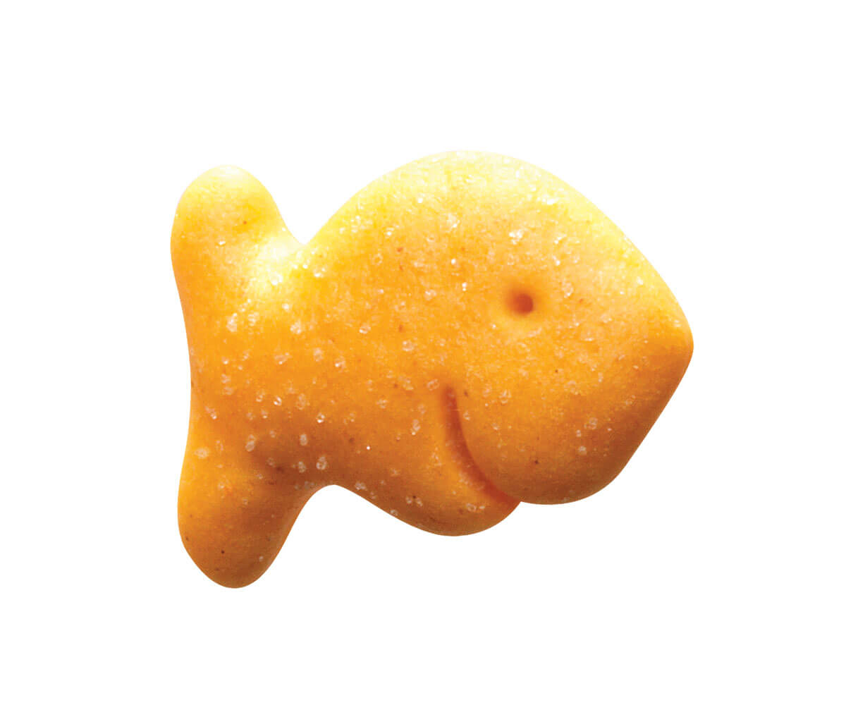 Craquelins Goldfish